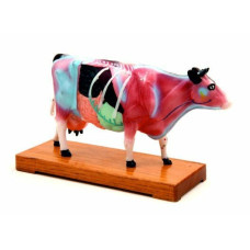 İNEK MODELİ EDULAB