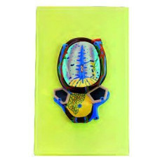 KARACİĞER KESİTİ